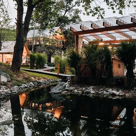 Luxury Tree House