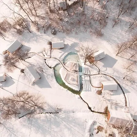 Luxury Tree House * Maribor