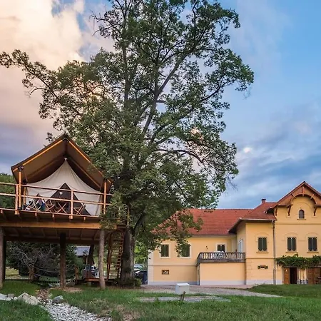 Apartment Luxury Tree House *