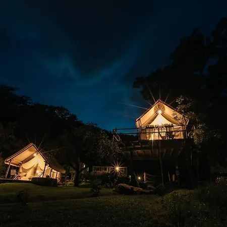 Apartment Luxury Tree House